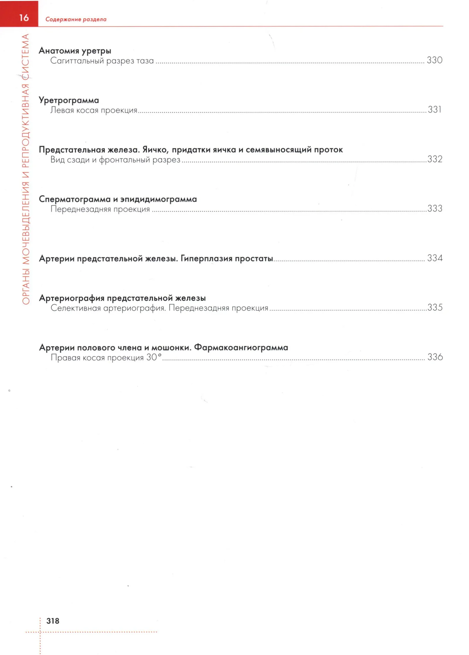 О Артериография предстательной железы